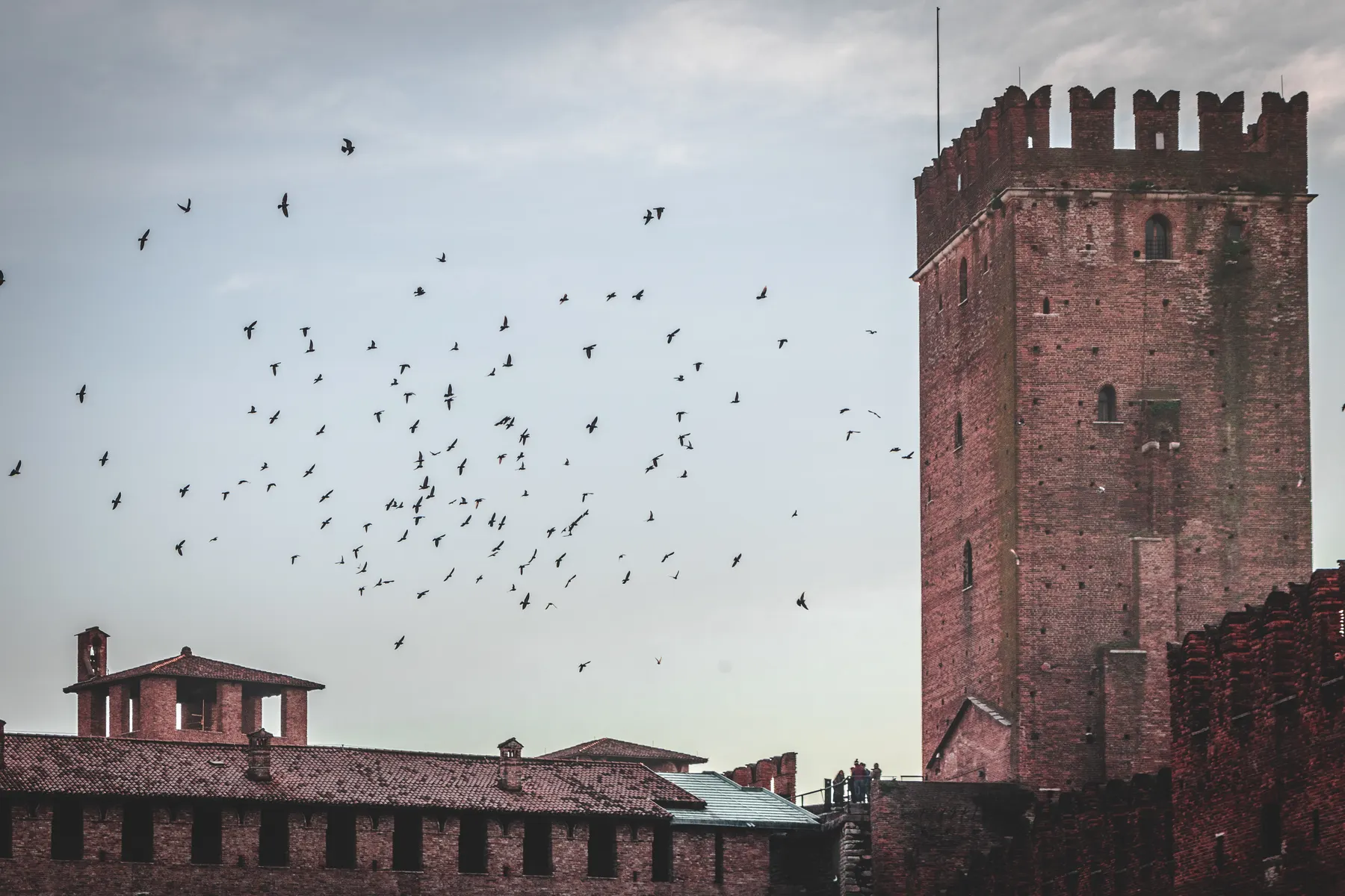Verona, Italy · 8